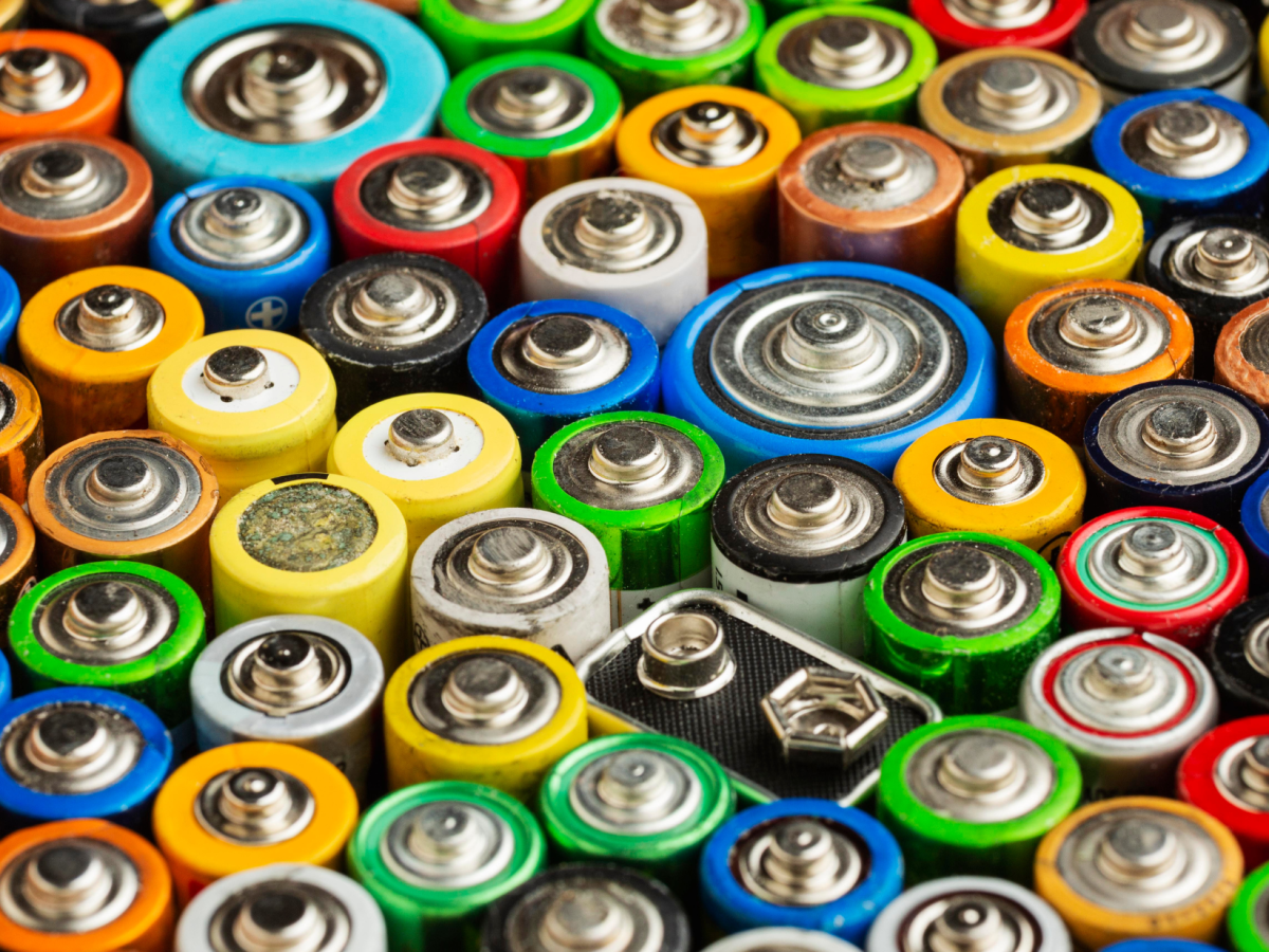 LA NASCITA DELLE BATTERIE: UN VIAGGIO DALL’ELETTRICITA’ ANIMALE ALLA PILA&nbsp;FOTOVOLTAICA